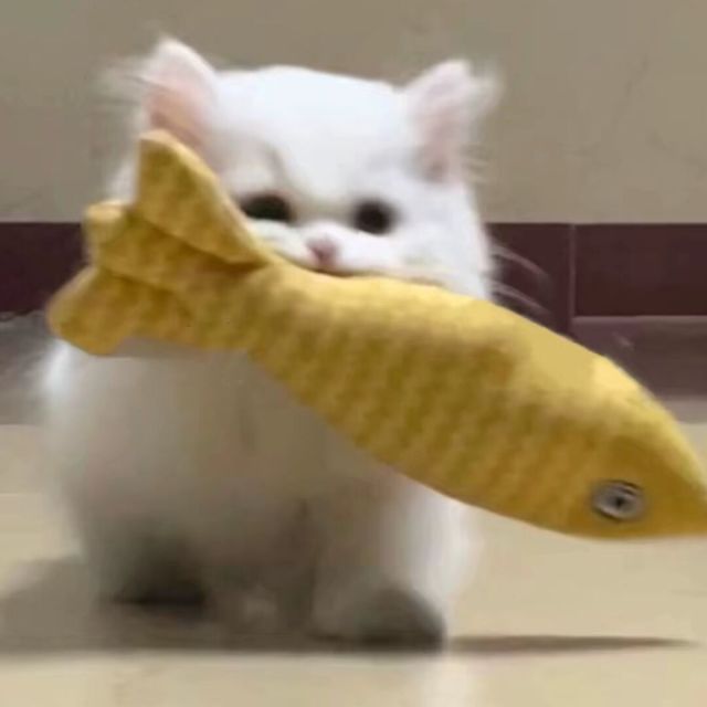 对方的头像